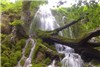 تور یک روزه جنگل و آبشار بولا چند؟