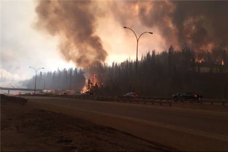 داوطلبانی که حین اطفای آتش سوزی جنگل‌ها آسیب می‌بینند، بیمه می‌شوند؟‌
