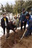 کاشت درخت از سوی کارکنان بانک دی به مناسبت روز درختکاری
