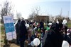 بیمه دی حامی همایش کودکانه روز درختکاری در استان سمنان شد