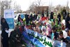 بیمه دی حامی همایش کودکانه روز درختکاری در استان سمنان شد