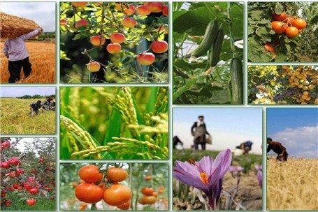 تاثیر دریافت عوارض صادراتی از ۳۵ محصول کشاورزی بر صادرات چیست؟