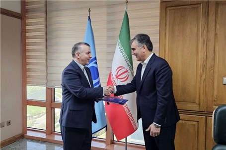 سرپرست معاونت بین‌المل بانک مرکزی منصوب شد